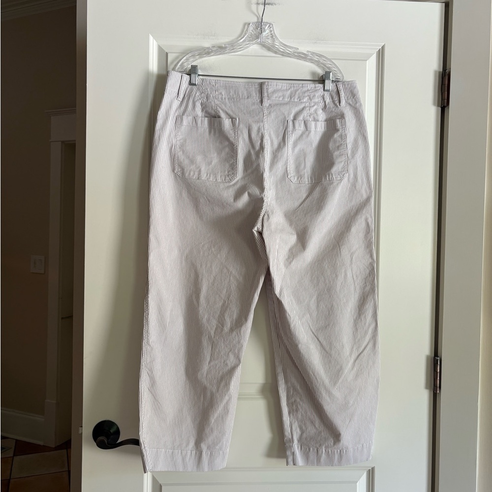 Talbots Button Fly Striped Pants - image 6